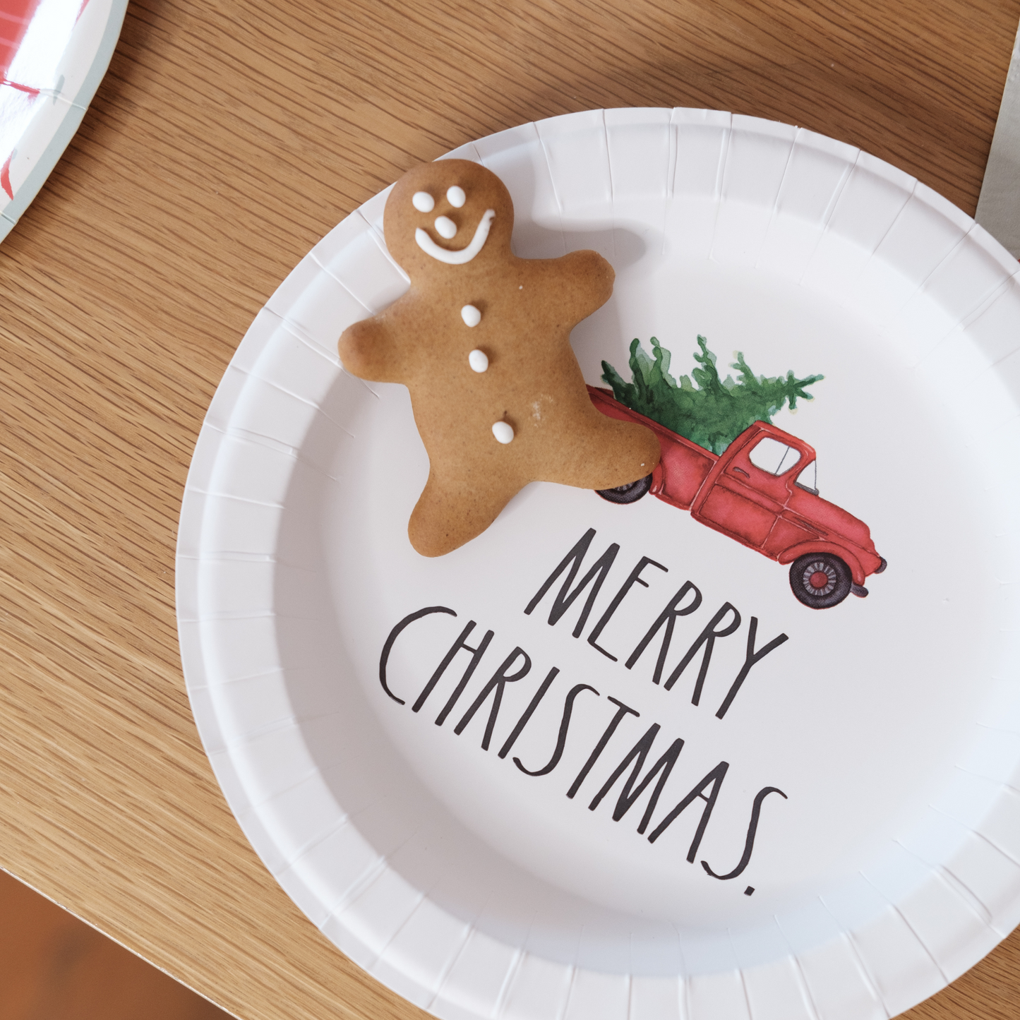 Merry Christmas Paper Plates (Set of 12)