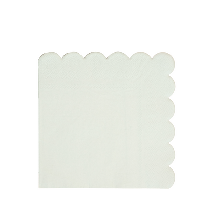 Mint Green Napkins (Set of 20)